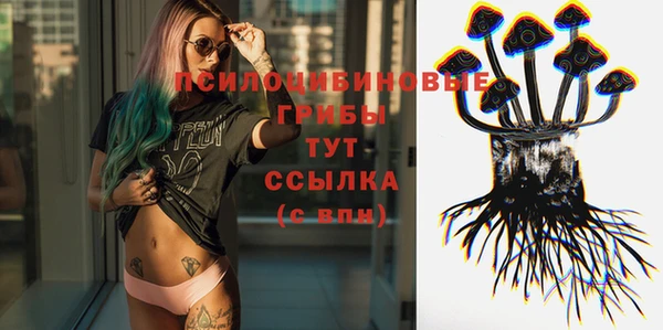 не бодяженный Семёнов